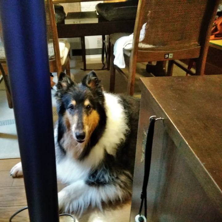 Ea6ec151 01b0 4985 80ef a449c7006a05 1564485989671