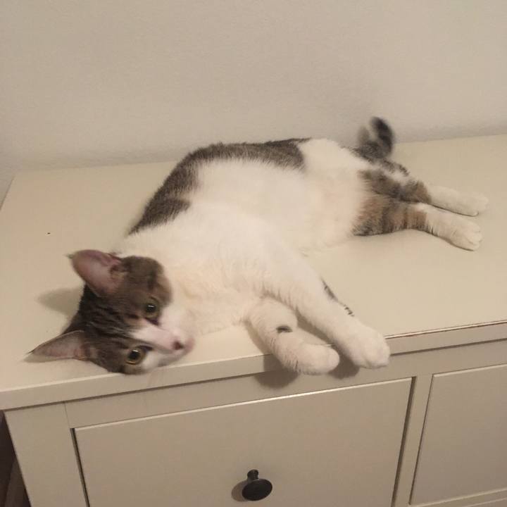 Ea6ef0e2 da5d 4c5a bb23 9c08f28a1bbf 1656115507768