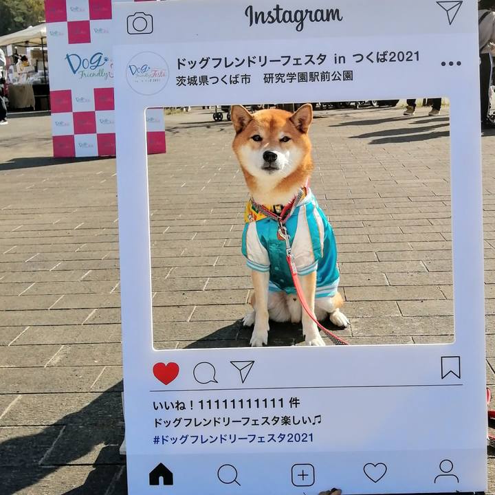 Ea6f1de6 850e 4943 8e06 c10c04a4e144 1636897282977