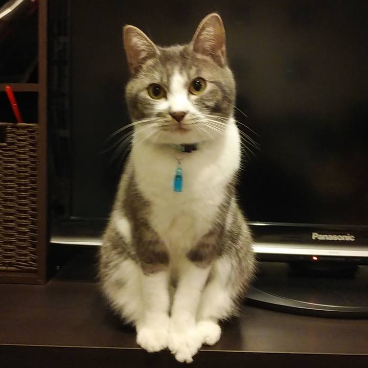 Ea6f2ba7 2ef0 4d85 a9f9 f0532861ea6b 1582647542599