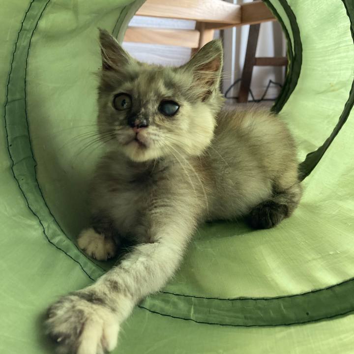 Ea6f580c 0b9a 465a 9243 8b0c98c8b89b 1690955559276