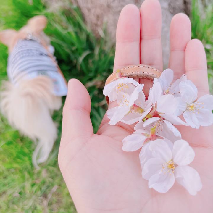 Ea6fb25e 09fd 44c7 8f9c d40b37e29624 1679484295645