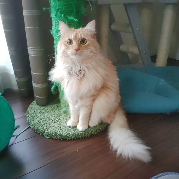 Ea6fd24e b315 467b a341 5d61f590e155 1679808293953