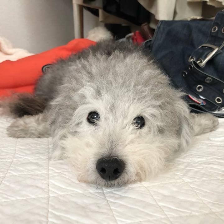 Ea6fedbe d36e 4863 b903 cc6158096a65 1563679328349