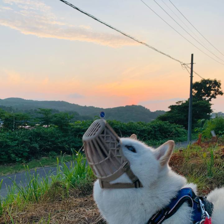 Ea702d47 2ea5 4b5d 8cba 0b63178044a3 1626725807280