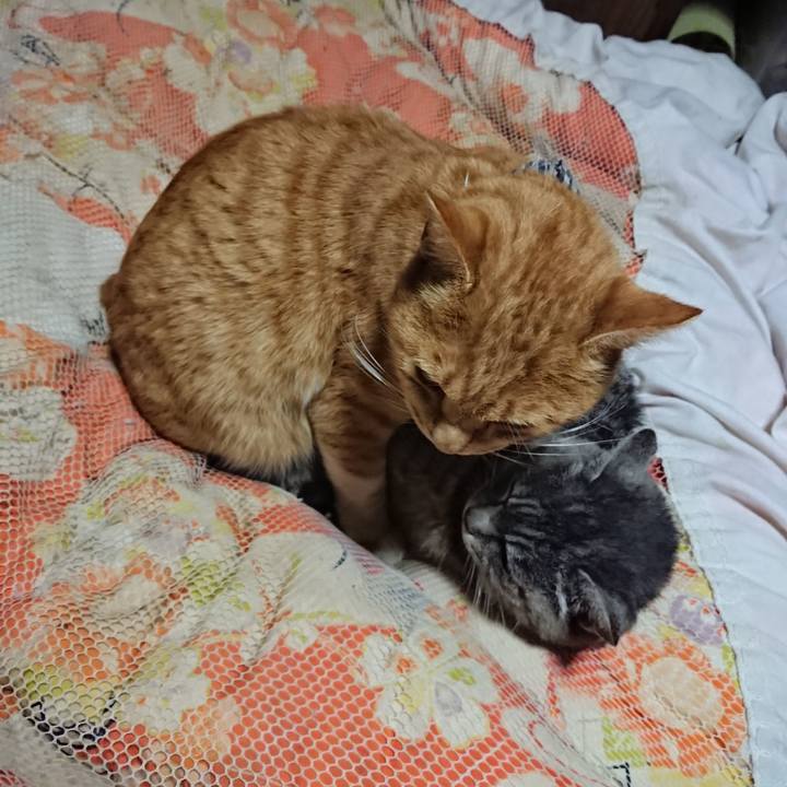 Ea703316 eb86 484d b772 8ebf1c5a5476 1573994589524