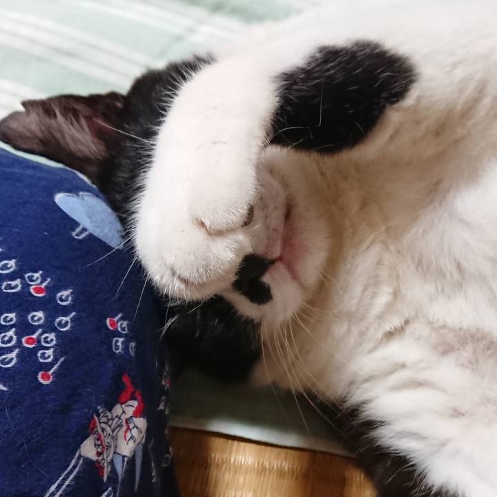 Ea706922 caaa 4b5a bc09 d944ee67aa4a 1568973357008