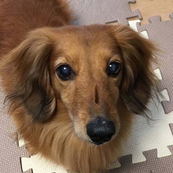 Ea706b7d bca8 4d15 802e 6df4a92bcab2 1557131215945