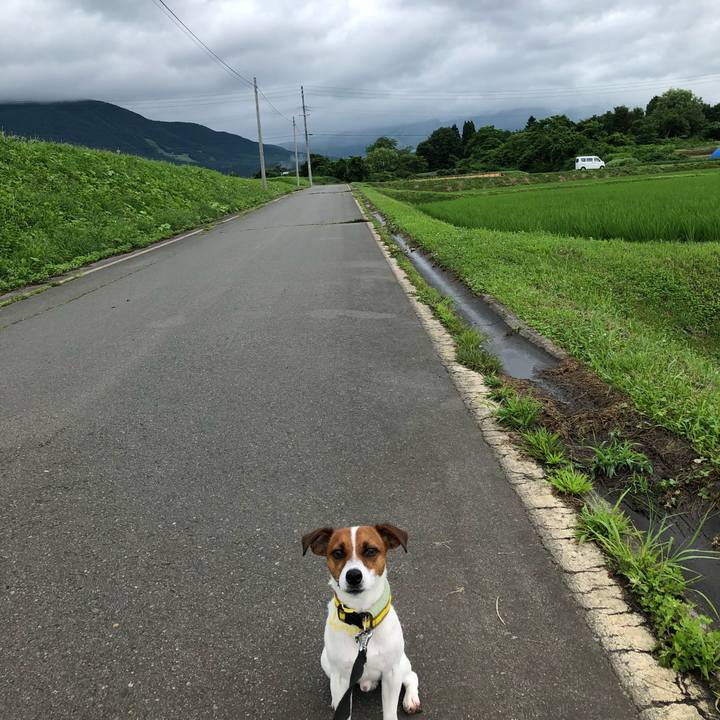 Ea7073f7 00e0 4de0 9751 b9ffc0047739 1530875945725