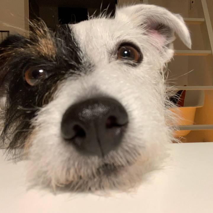 Ea707777 bfee 48e3 b022 3b0727949dfa 1590754864747