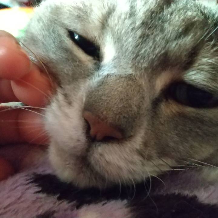 Ea707d6f e2be 446b 8eae d7ed4769af88 1604185465321