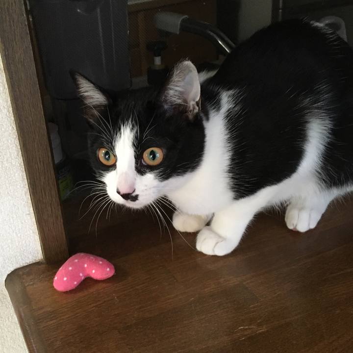 Ea708161 82f1 441e 86b4 acc39f4e7b12 1581591465369