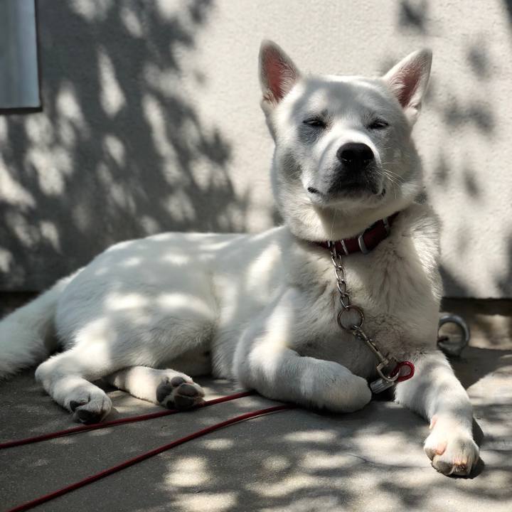 Ea70b825 834f 4215 968f 04546651d7d1 1529062894559