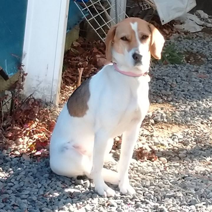 Ea70f3e7 d8cf 4177 8ffd c66f5f308c26 1578454548911