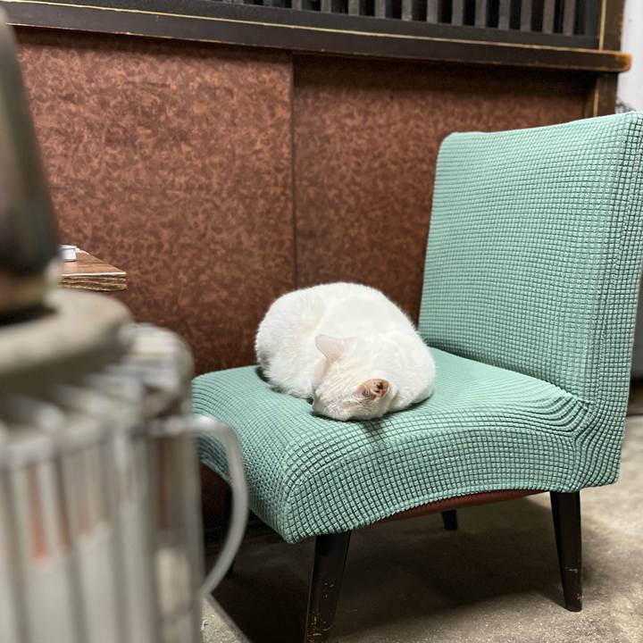 Ea7104f4 28e1 4485 bec9 f986bf5633f7 1767773764344