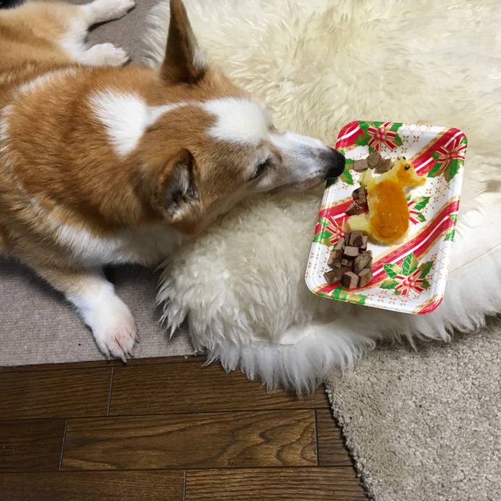 Ea71205d 41ea 447c b878 1ec082e70be6 1545553609095