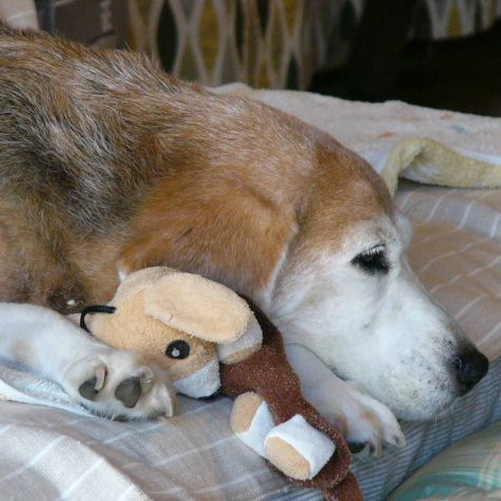 Ea715cec 05a9 4afc b58e a1c3e4015abb 1668824200647