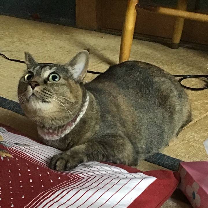 Ea7178bf 615c 4064 bdc1 4b02602155b1 1670200305982