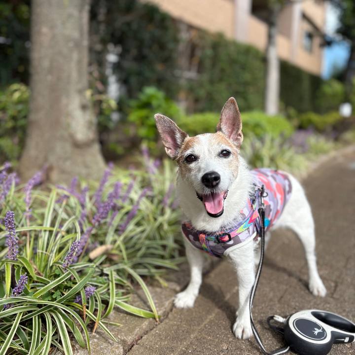 Ea71b7d0 af4e 4af2 8932 5e2ae9b158c8 1760230873064