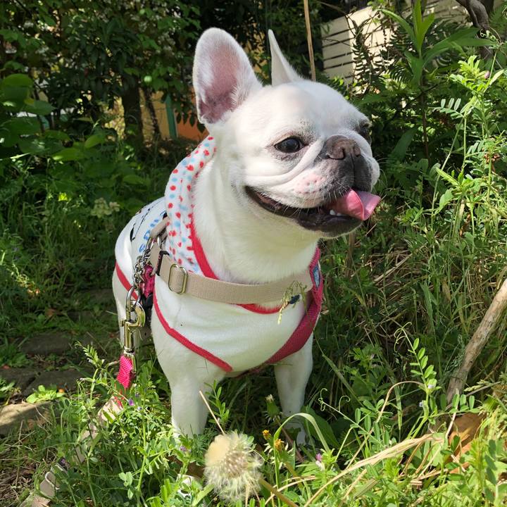 Ea71c50e f014 4a03 a68a 84e886e16285 1556421851804