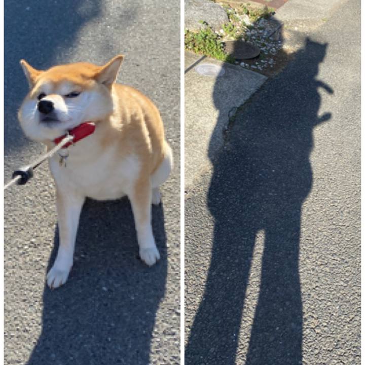 Ea71d491 e6b0 40ae a55d 983fe720b7b1 1584017834597