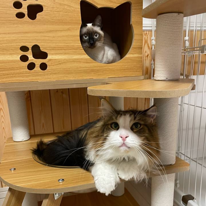 Ea71e429 eea3 4241 8edc 066f6bc56264 1700595276340