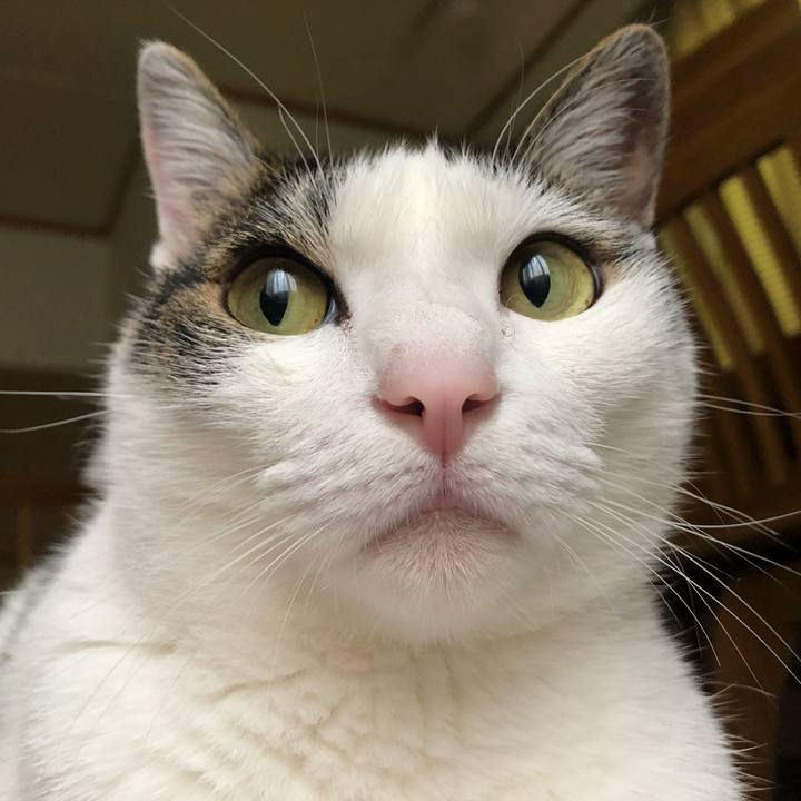 Ea71fe39 d50e 4b64 ad7d 8ea9e72cbac0 1688163755523