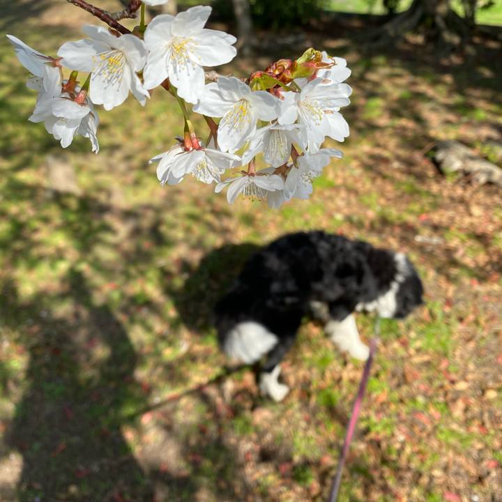 Ea720784 1672 4849 bd49 97f6481e7d5a 1615423853933