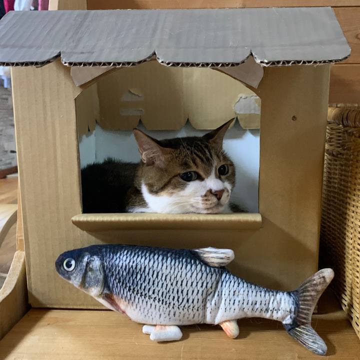 Ea720ec2 fd67 4a85 adf8 ddf5db4c50d3 1661986424710