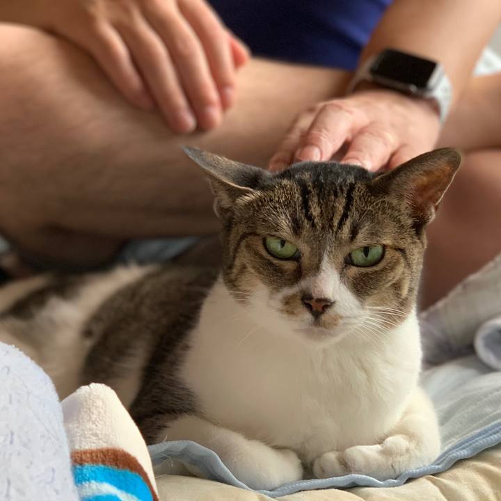 Ea72176b 5875 4900 babf dbd92fe84111 1566694985554