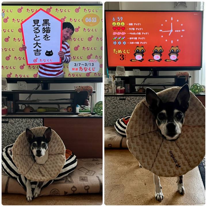 Ea723ac0 ccc2 4acc b568 138d1354dd56 1646605100236