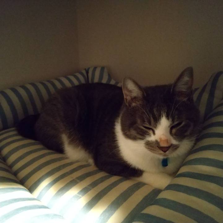 Ea724dde c5ee 4aa6 ac1c 0bb098ea2260 1604524821199