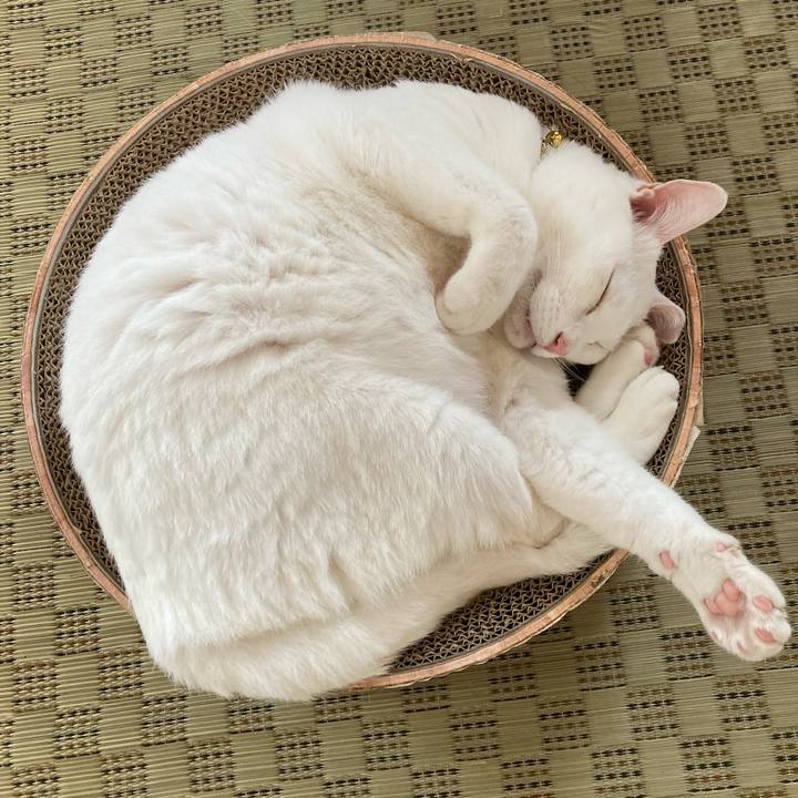 Ea728351 3081 4501 9aa6 d825d3779a66 1760074819265