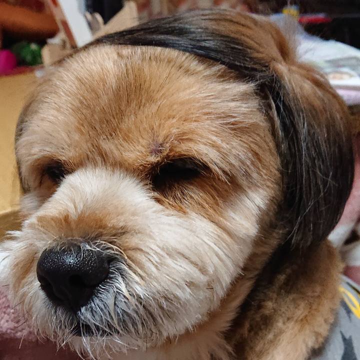 Ea728bad bd22 4657 966c 1fe16de92458 1581848115909