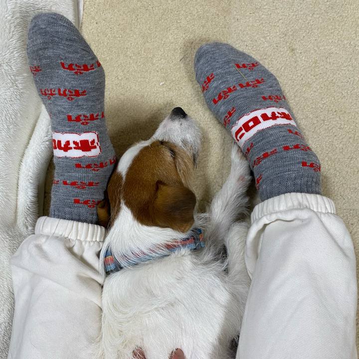 Ea72d025 2ddc 4665 bfcf f68d69e7d349 1735048038716