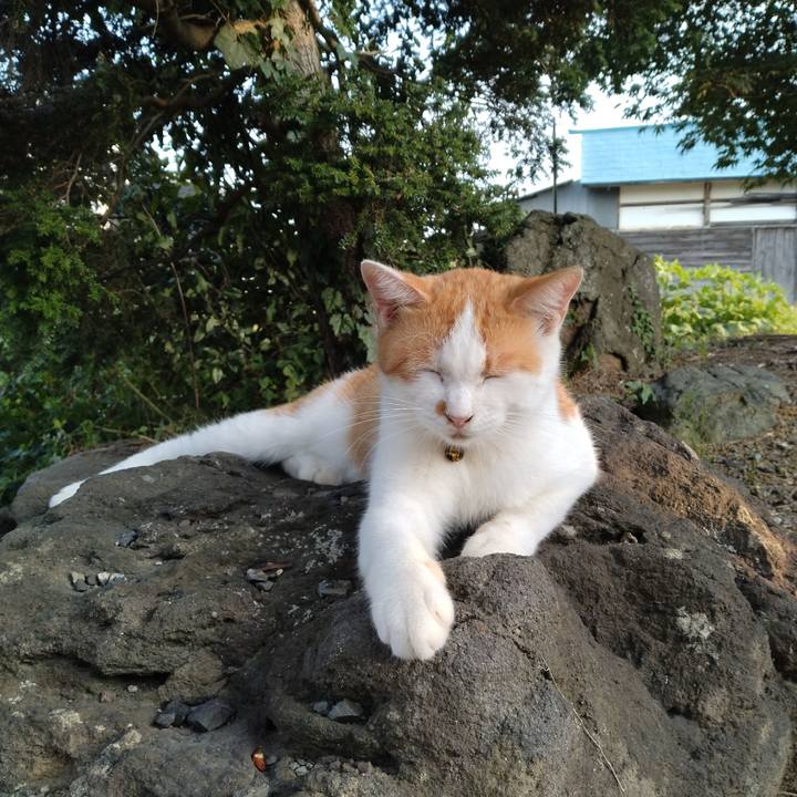 Ea731f10 0716 45ac b3ad 10d912cb72ba 1755680633727