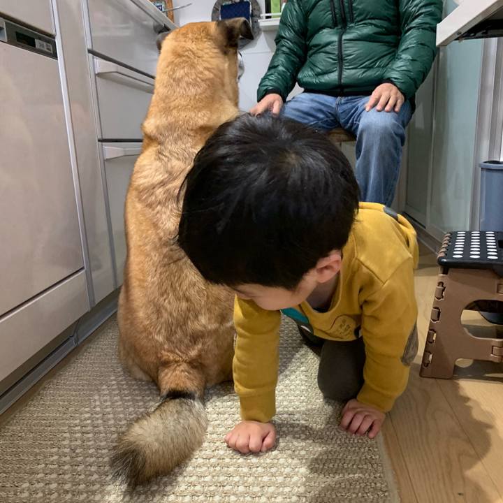 Ea7334d0 4e8e 4256 b31f e655405dd9a8 1548323303778