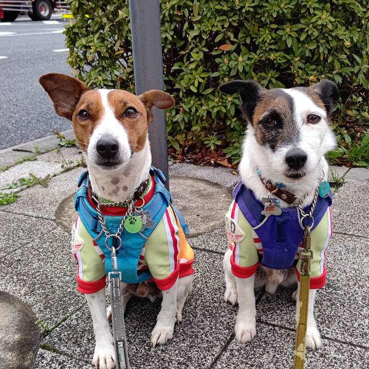 Ea735d6a 6e36 4ddc ae53 047c5f8819aa 1649110854500