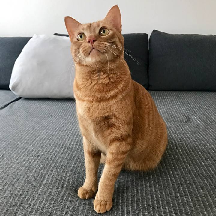 Ea7373ad 682e 4a62 884b 89a3fc0da191 1614383403183