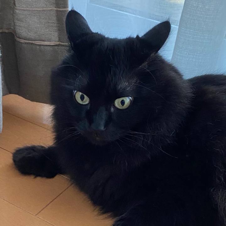 Ea73755d 1400 4bbe b42f 3dd09a5d1960 1602222977972