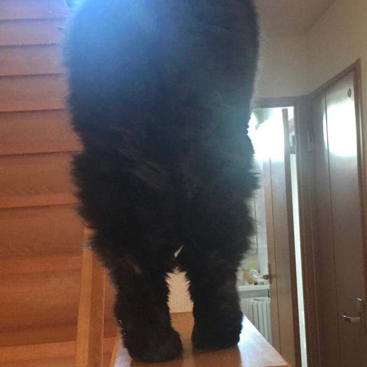 Ea741d71 f2fe 4b99 b188 194cd9e51328 1574227291991