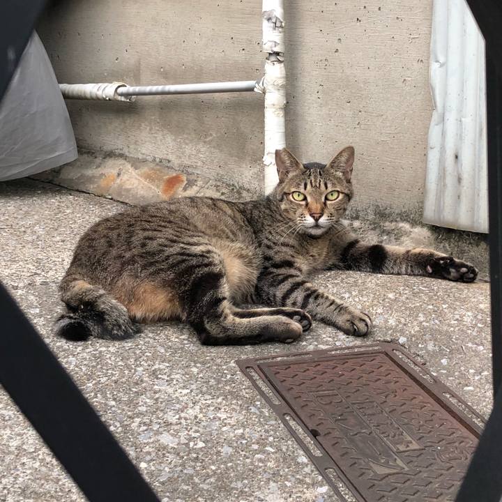 Ea7423cd 86f4 4c6b 9df4 be33a5ea89cd 1534673377885