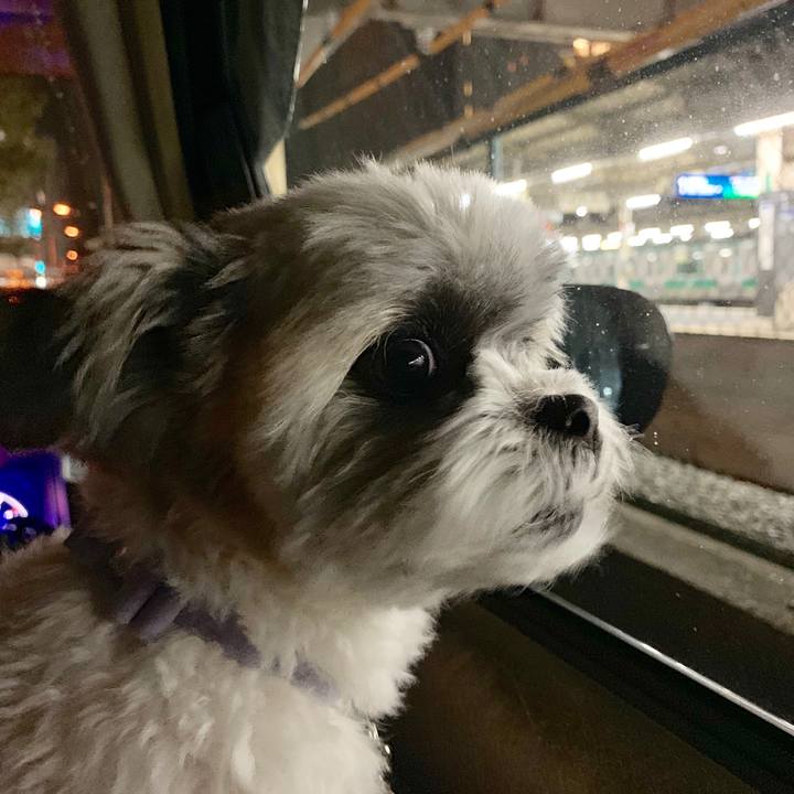 Ea747417 8976 4d75 b957 9ddb681bd572 1550663205983