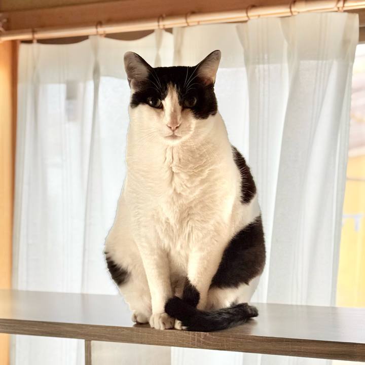 Ea74a54b 90d7 429f 9fc6 f0860f89738e 1775095241051