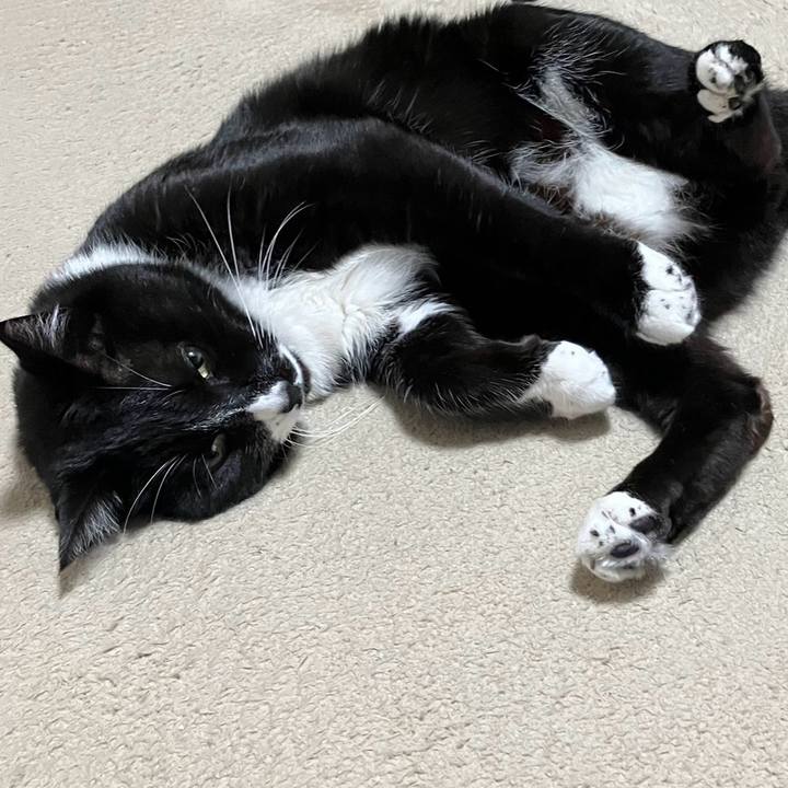 Ea74a697 25c2 4a52 a0a7 f0aa38127328 1718955704945