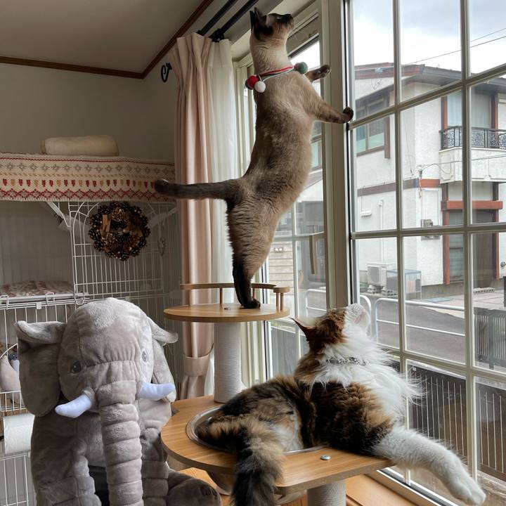 Ea74bcc6 36a4 4485 918b 428cf7ec6969 1730678186199