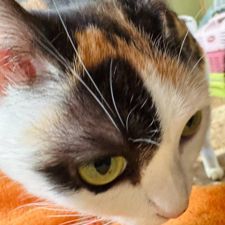 Ea74bf2c 5cb5 46b4 99fe 5cf31f4043f2 1676079479920