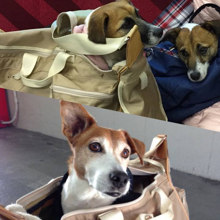 Ea74cd0c 076c 460f bca9 4fc3c9d0c872 1528385301193