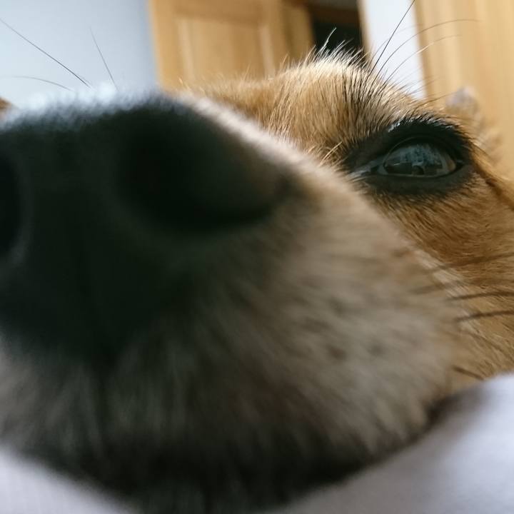 Ea74cf00 20e3 4b22 bf01 d663d7c23d2b 1529216526059