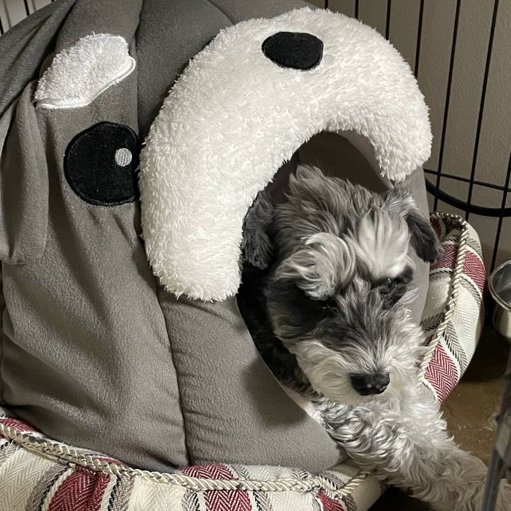 Ea74e7fe 0960 4aa9 b508 8b83a6bb2efa 1675242756715